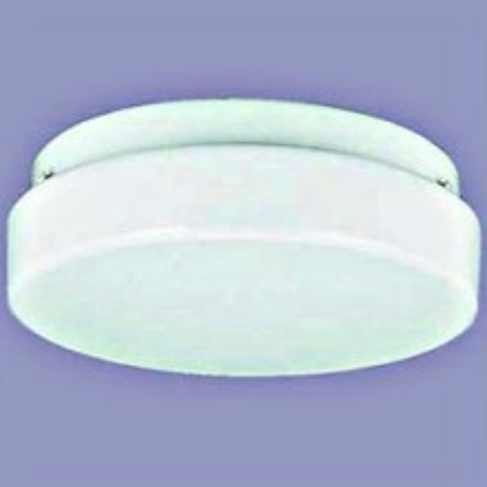 Sea Gull Lighting Ceiling Light Fixture white NIB